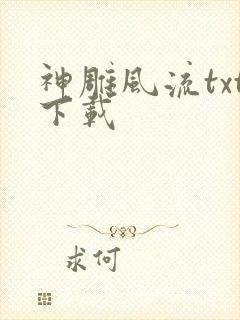 神雕风流txt下载封面