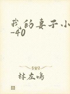 我的妻子小谨1-40