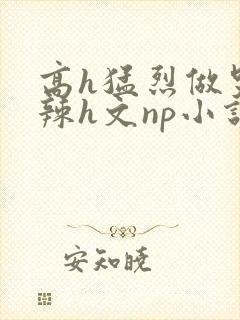 高h猛烈做哭高辣h文np小说封面