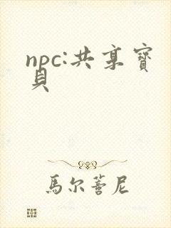 npc:共享宝贝