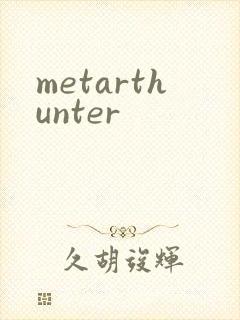 metarthunter封面