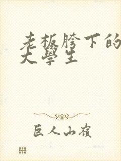 老板胯下的秘书大学生封面