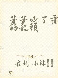 萧萧吃了霍雨浩的龙头封面