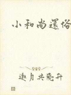 小和尚还俗记封面