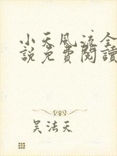 小天风流全集小说免费阅读