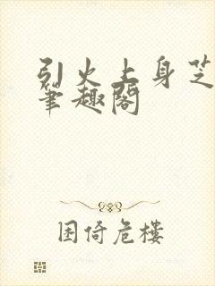 引火上身芝麻糖笔趣阁