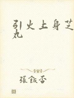 引火上身芝麻糖丸