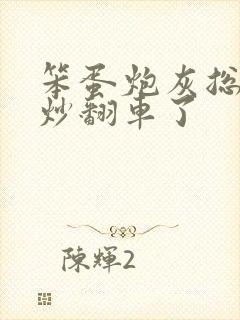 笨蛋炮灰总被爆炒翻车了封面