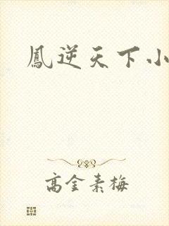 凤逆天下小说