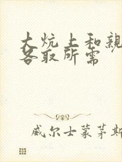 大炕上和亲亲公各取所需