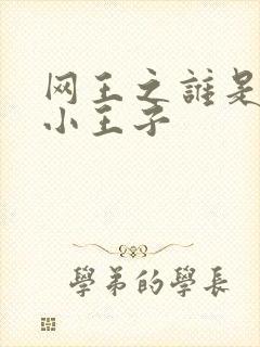 网王之谁是我的小王子