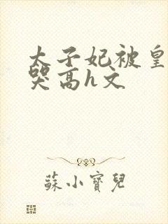 太子妃被皇上c哭高h文