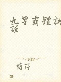 九星霸体诀 小说