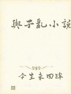 与子乱小说