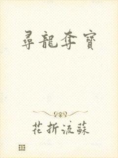 寻龙夺宝