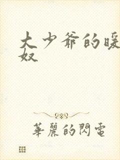 大少爷的暖床小奴封面