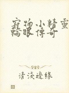 宠物小精灵之写轮眼传奇封面