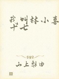 我叫林小喜今年十七