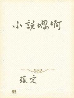小说嗯啊