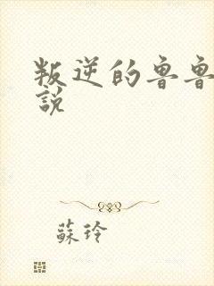 叛逆的鲁鲁修小说