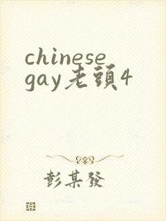 chinesegay老头4