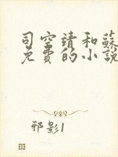 司空靖和苏月汐免费的小说笔趣阁