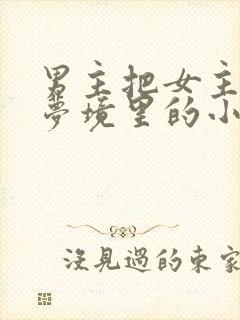 男主把女主拖进梦境里的小说封面