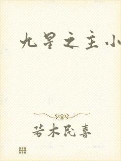 九星之主小说