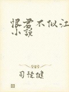 恨君不似江楼月小说封面