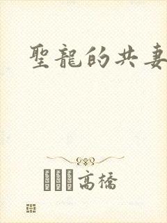 圣龙的共妻