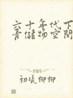 六十年代下乡知青储物空间