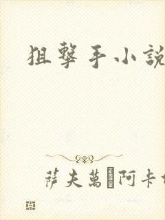 狙击手小说封面