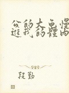 公的大龟慢慢挺进我的体内