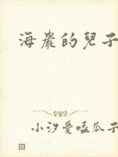 海岩的儿子