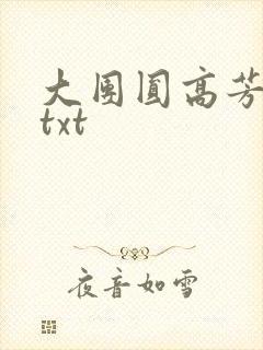 大团圆高芳小说txt