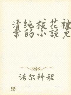 清纯校花被擒日常的小说免费阅读