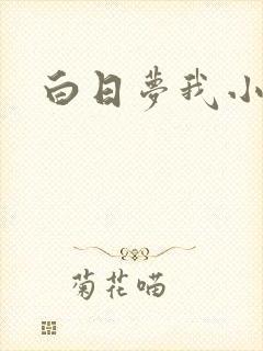 白日梦我小说