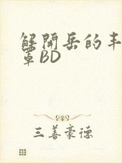 解开岳的丰满奶罩BD