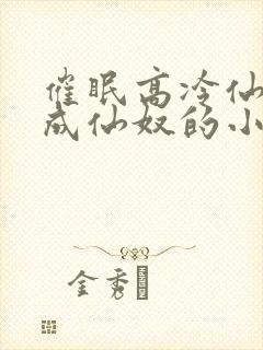 催眠高冷仙奴变成仙奴的小说