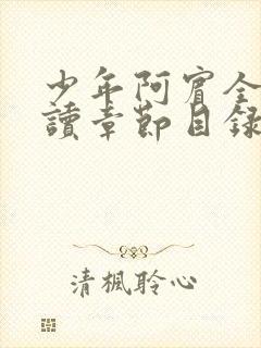 少年阿宾全文阅读章节目录