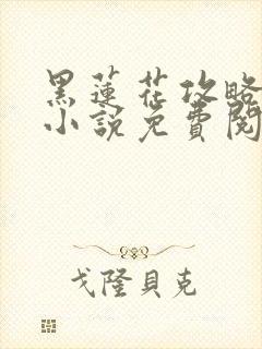 黑莲花攻略手册小说免费阅读封面