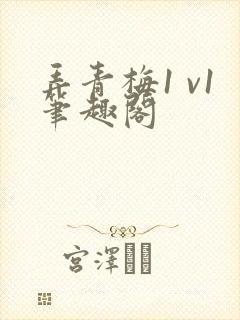 弄青梅1 v1笔趣阁