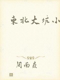 东北大坑小说