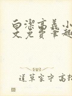 白洁高义小说全文免费笔趣阁阅读高