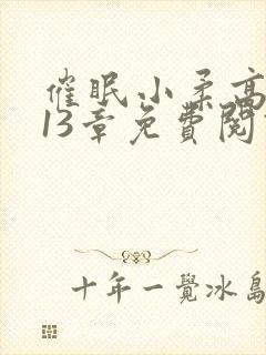 催眠小柔高达第13章免费阅读封面