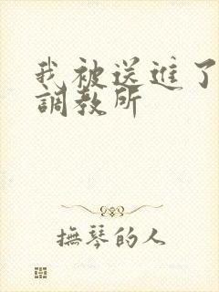 我被送进了私奴调教所