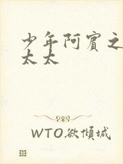 少年阿宾之房东太太