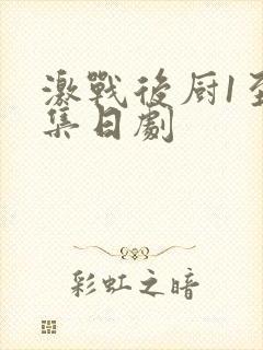 激战后厨1至5集日剧