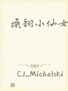 操翻小仙女封面