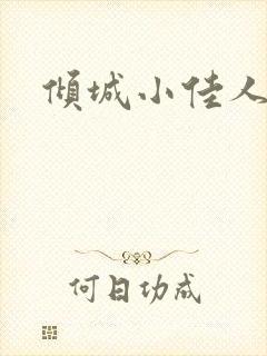 倾城小佳人封面